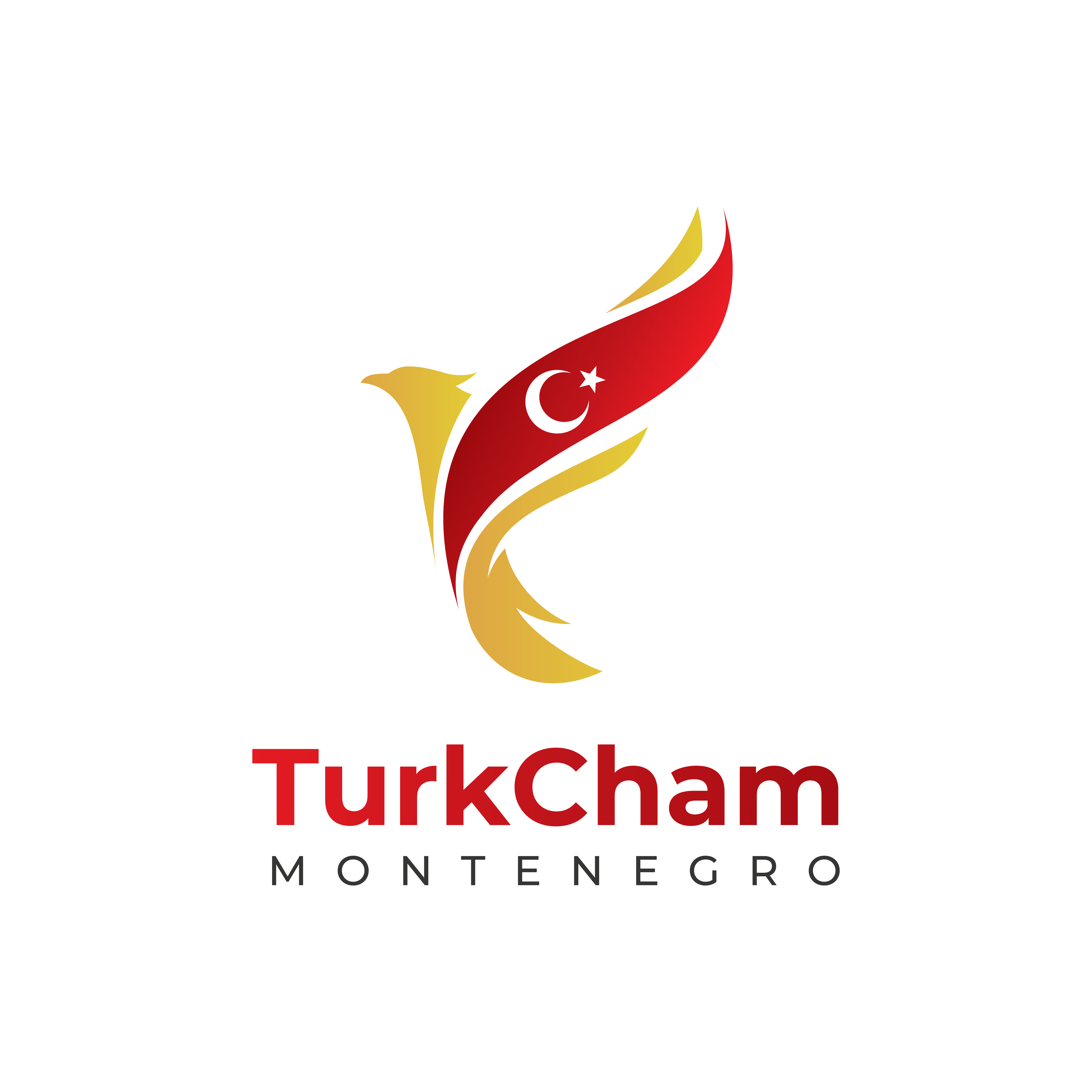 TurkCham Montenegro Logo